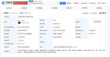 陳坤上海東申童畫工作室注銷，企業形象策劃的反思與啟示