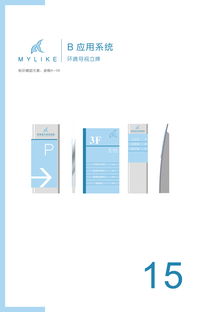 重塑美麗定義，傳遞專業信賴——美萊醫療美容醫院企業形象設計與策劃