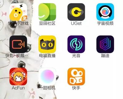 “快手家族”成與敗 一年10款APP，孵化易，運營難